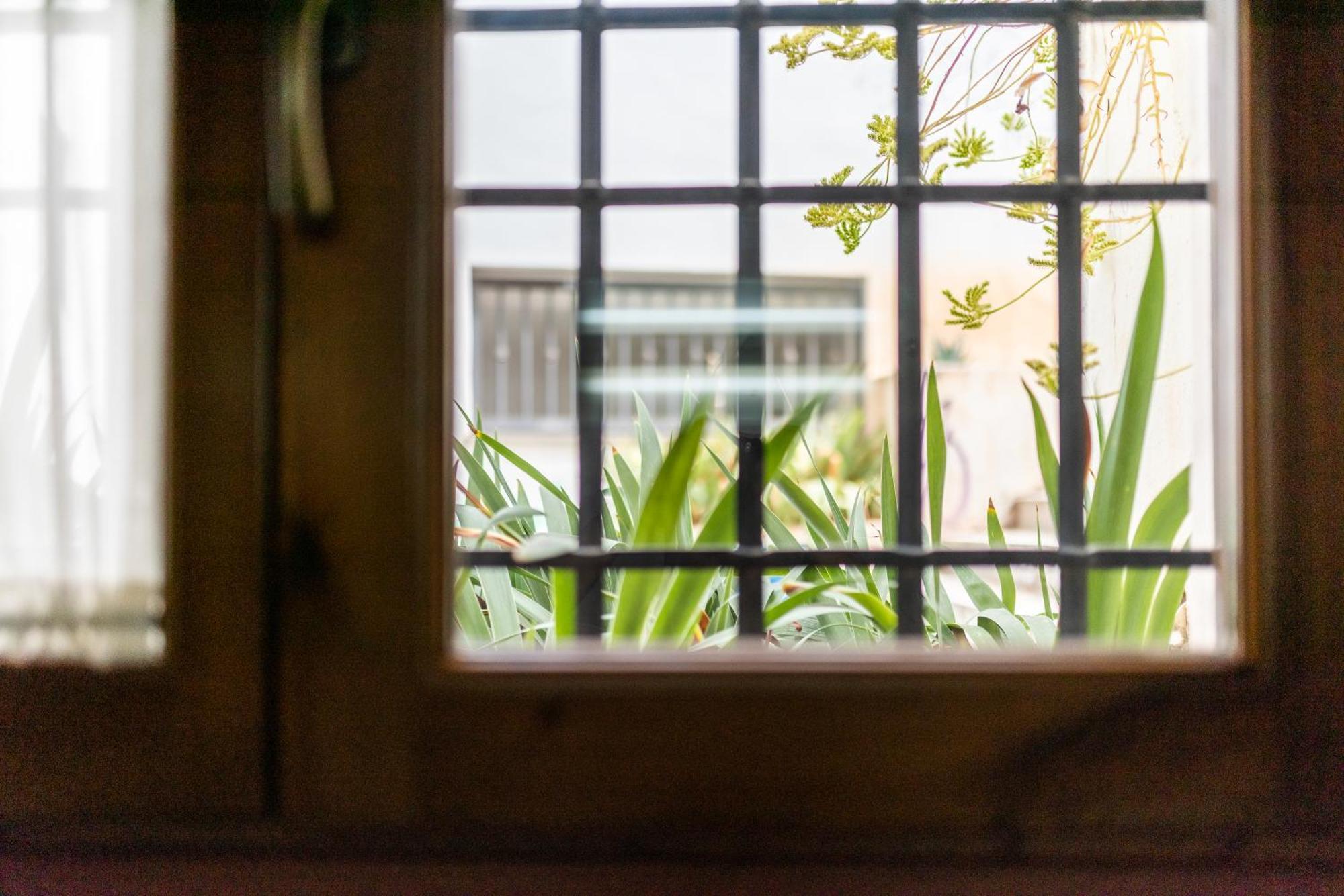 El Rey Zagal Apartament Casa Siglo XVI Pleno Centro Granada Eksteriør billede